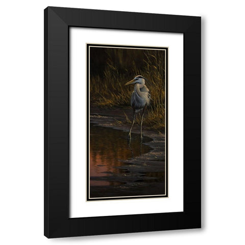 Walking The Edge - Great Blue Heron Black Modern Wood Framed Art Print with Double Matting by Goebel, Wilhelm