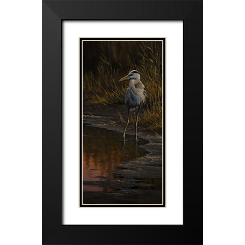 Walking The Edge - Great Blue Heron Black Modern Wood Framed Art Print with Double Matting by Goebel, Wilhelm