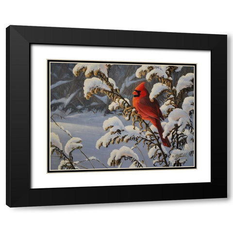 Winter Cardinal Black Modern Wood Framed Art Print with Double Matting by Goebel, Wilhelm