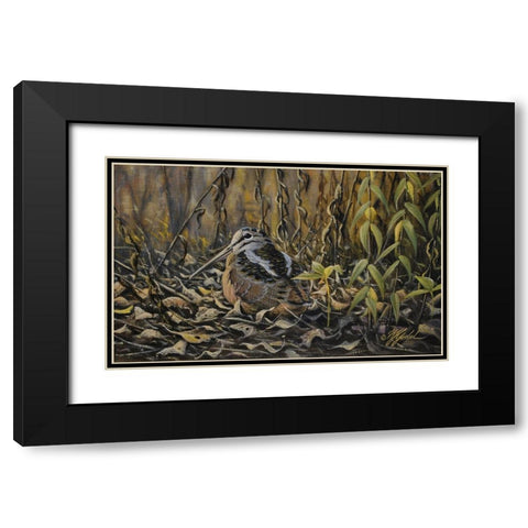 Woodcock Black Modern Wood Framed Art Print with Double Matting by Goebel, Wilhelm