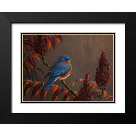 Autumn Bluebird Black Modern Wood Framed Art Print with Double Matting by Goebel, Wilhelm