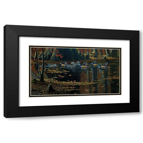 Cypress Jewels - Wood Ducks Black Modern Wood Framed Art Print with Double Matting by Goebel, Wilhelm