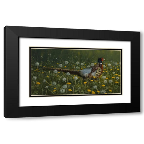 Dandy Rooster - Formosan Ring-necked Pheasant Black Modern Wood Framed Art Print with Double Matting by Goebel, Wilhelm