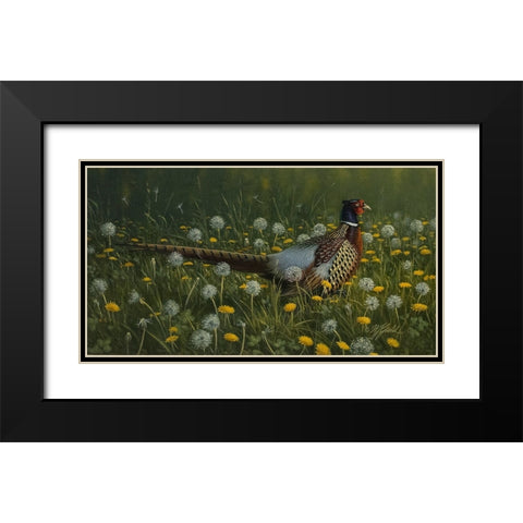 Dandy Rooster - Formosan Ring-necked Pheasant Black Modern Wood Framed Art Print with Double Matting by Goebel, Wilhelm
