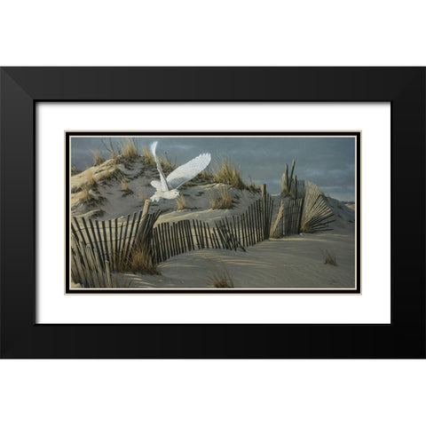 Launch - Snowy Owl Black Modern Wood Framed Art Print with Double Matting by Goebel, Wilhelm