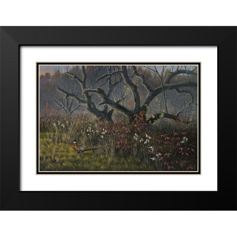 Old Orchard and Pheasant Black Modern Wood Framed Art Print with Double Matting by Goebel, Wilhelm