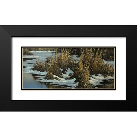 Snipe Flight Black Modern Wood Framed Art Print with Double Matting by Goebel, Wilhelm