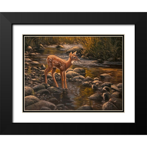 Waters Edge - Fawn Black Modern Wood Framed Art Print with Double Matting by Goebel, Wilhelm