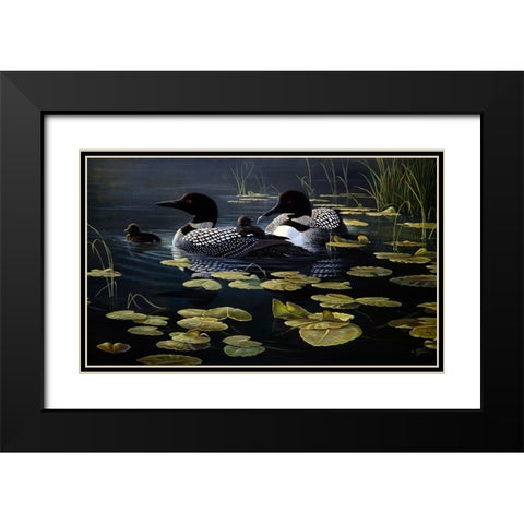 Shoreline Refuge - Loon Family Black Modern Wood Framed Art Print with Double Matting by Goebel, Wilhelm