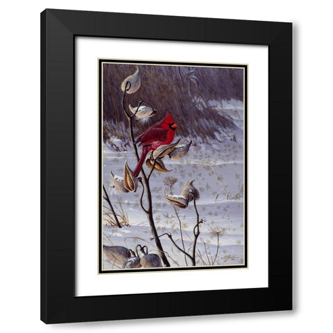 Cardinal And Milkweed Black Modern Wood Framed Art Print with Double Matting by Goebel, Wilhelm