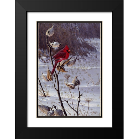 Cardinal And Milkweed Black Modern Wood Framed Art Print with Double Matting by Goebel, Wilhelm