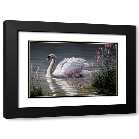 Summer Idyll - Mute Swan Black Modern Wood Framed Art Print with Double Matting by Goebel, Wilhelm