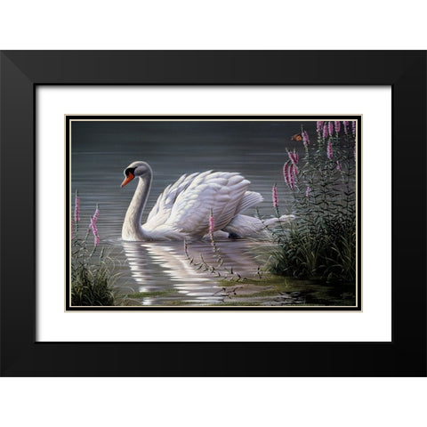 Summer Idyll - Mute Swan Black Modern Wood Framed Art Print with Double Matting by Goebel, Wilhelm