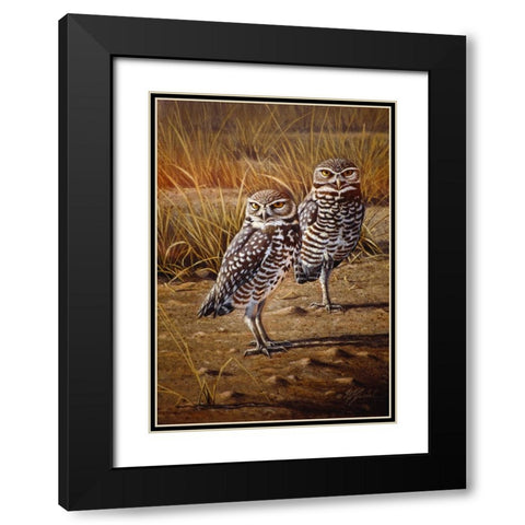 Burrowing Owls Black Modern Wood Framed Art Print with Double Matting by Goebel, Wilhelm