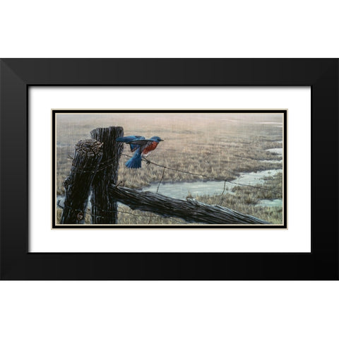 April Showers - Eastern Bluebird Black Modern Wood Framed Art Print with Double Matting by Goebel, Wilhelm