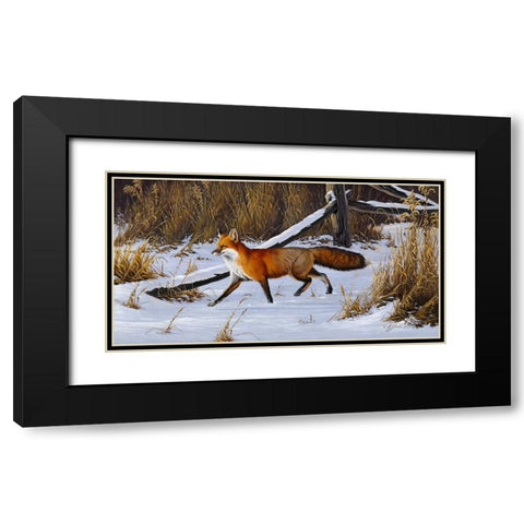 Fox Trot  - Red Fox Black Modern Wood Framed Art Print with Double Matting by Goebel, Wilhelm