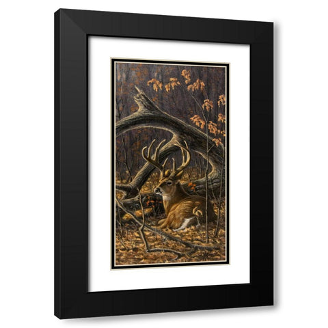 Bedded Buck Black Modern Wood Framed Art Print with Double Matting by Goebel, Wilhelm