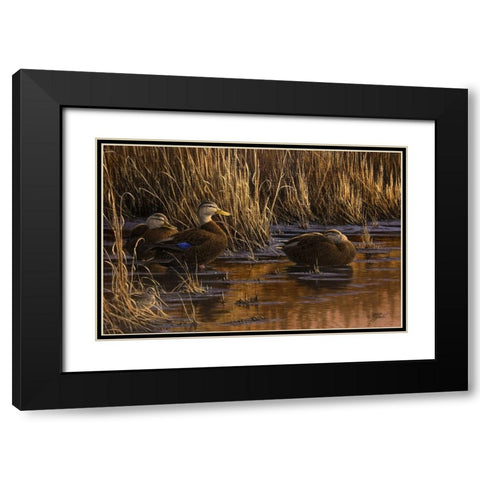 Belly Deep and Half Asleep Black Modern Wood Framed Art Print with Double Matting by Goebel, Wilhelm