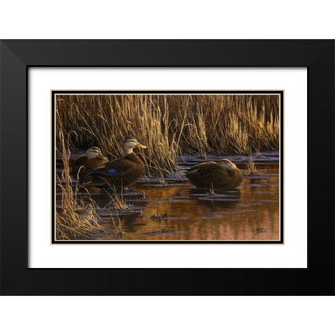 Belly Deep and Half Asleep Black Modern Wood Framed Art Print with Double Matting by Goebel, Wilhelm