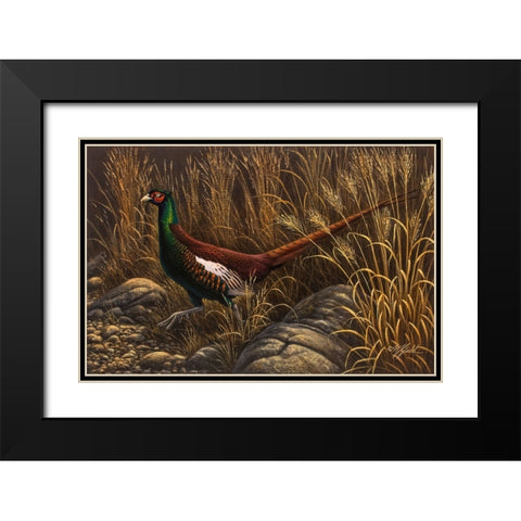 Bianchi Pheasant Black Modern Wood Framed Art Print with Double Matting by Goebel, Wilhelm