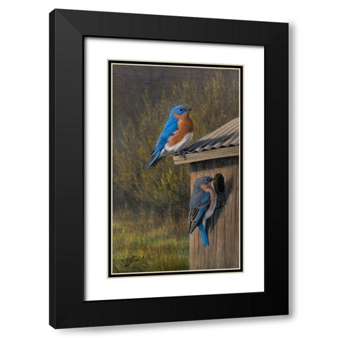 Bluebirds at Home Black Modern Wood Framed Art Print with Double Matting by Goebel, Wilhelm