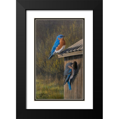 Bluebirds at Home Black Modern Wood Framed Art Print with Double Matting by Goebel, Wilhelm