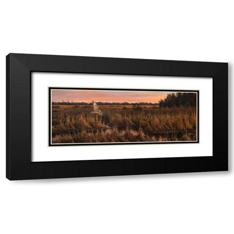 Evening Rounds Black Modern Wood Framed Art Print with Double Matting by Goebel, Wilhelm