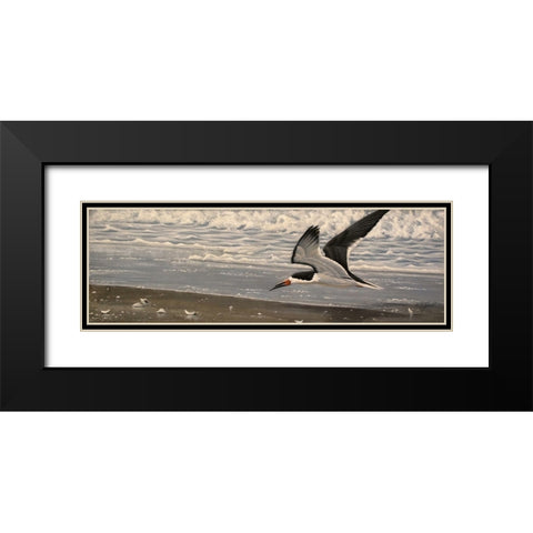 Flying Solo Black Modern Wood Framed Art Print with Double Matting by Goebel, Wilhelm