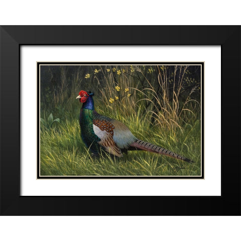 Japanese Green Pheasant Black Modern Wood Framed Art Print with Double Matting by Goebel, Wilhelm
