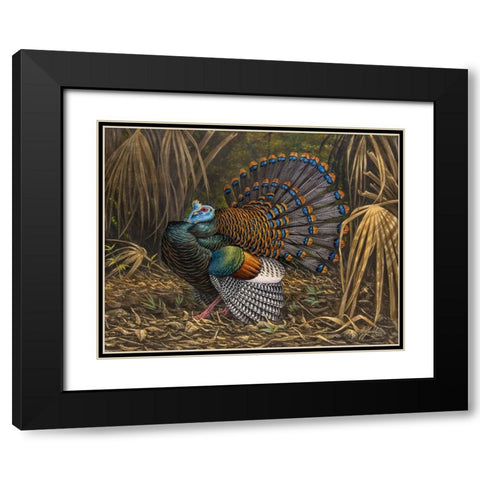 Ocellated Turkey Black Modern Wood Framed Art Print with Double Matting by Goebel, Wilhelm