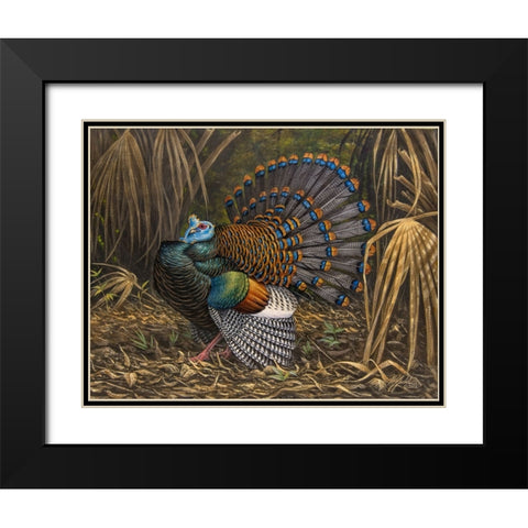 Ocellated Turkey Black Modern Wood Framed Art Print with Double Matting by Goebel, Wilhelm
