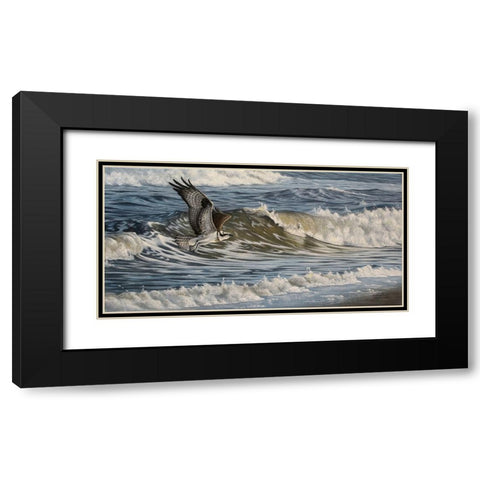 Osprey and Surf Black Modern Wood Framed Art Print with Double Matting by Goebel, Wilhelm