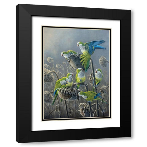 Parakeet Treat Black Modern Wood Framed Art Print with Double Matting by Goebel, Wilhelm