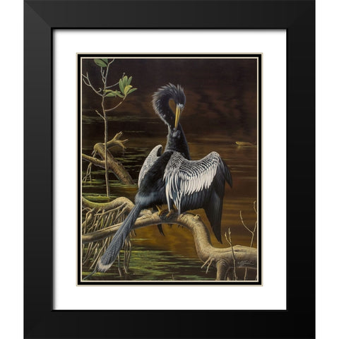 Preening Anhinga Black Modern Wood Framed Art Print with Double Matting by Goebel, Wilhelm