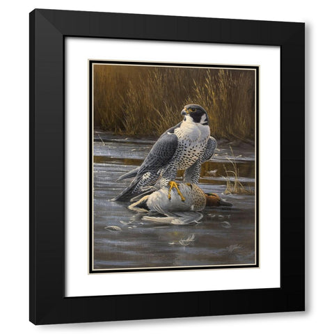 Teal Meal - Peregrine Black Modern Wood Framed Art Print with Double Matting by Goebel, Wilhelm