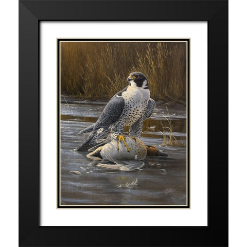 Teal Meal - Peregrine Black Modern Wood Framed Art Print with Double Matting by Goebel, Wilhelm