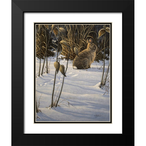 Winter Cottontail Black Modern Wood Framed Art Print with Double Matting by Goebel, Wilhelm