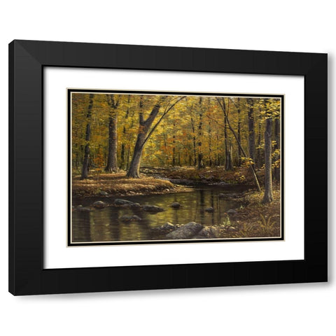 Woodland Brook Black Modern Wood Framed Art Print with Double Matting by Goebel, Wilhelm