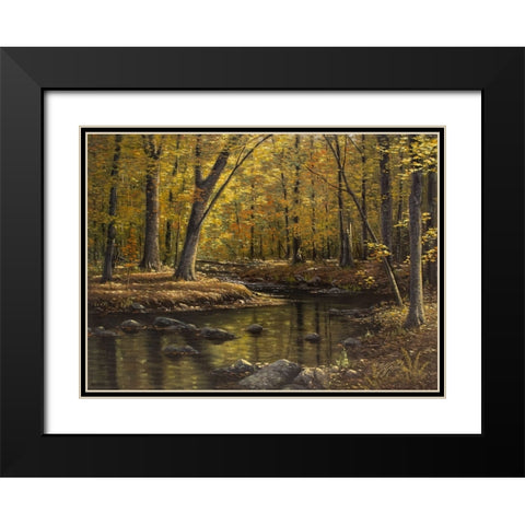 Woodland Brook Black Modern Wood Framed Art Print with Double Matting by Goebel, Wilhelm