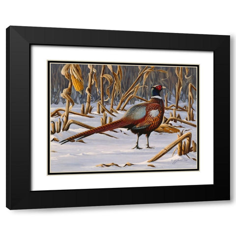 Corn Row Ringneck Black Modern Wood Framed Art Print with Double Matting by Goebel, Wilhelm