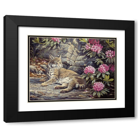 Bee Watching Bobcat Black Modern Wood Framed Art Print with Double Matting by Goebel, Wilhelm