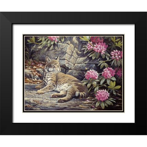 Bee Watching Bobcat Black Modern Wood Framed Art Print with Double Matting by Goebel, Wilhelm