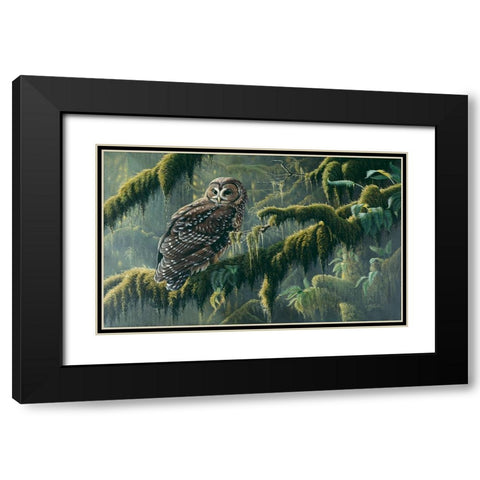 Spirit Of Ancient Forests - Spotted Owl Black Modern Wood Framed Art Print with Double Matting by Goebel, Wilhelm