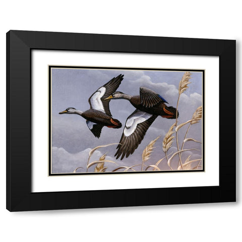 1982/1983 Black Ducks Black Modern Wood Framed Art Print with Double Matting by Goebel, Wilhelm