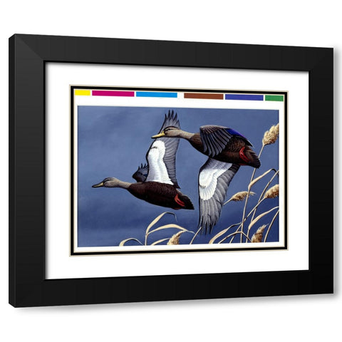 1984 Black Ducks Black Modern Wood Framed Art Print with Double Matting by Goebel, Wilhelm