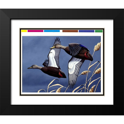 1984 Black Ducks Black Modern Wood Framed Art Print with Double Matting by Goebel, Wilhelm