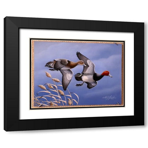 1986 Redhead Ducks Black Modern Wood Framed Art Print with Double Matting by Goebel, Wilhelm