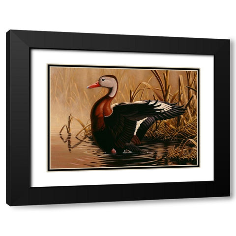 1988 Black Bellied Whistling Duck Black Modern Wood Framed Art Print with Double Matting by Goebel, Wilhelm