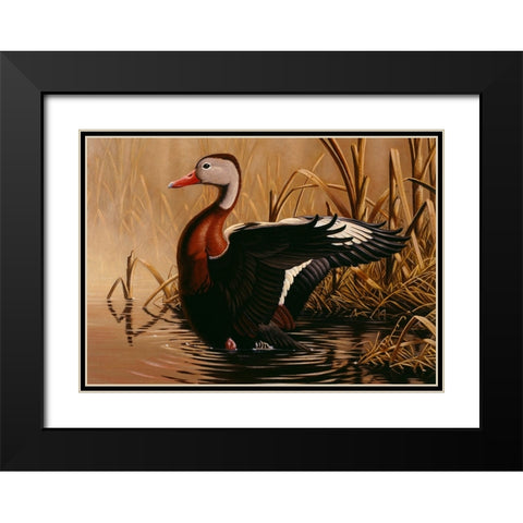 1988 Black Bellied Whistling Duck Black Modern Wood Framed Art Print with Double Matting by Goebel, Wilhelm