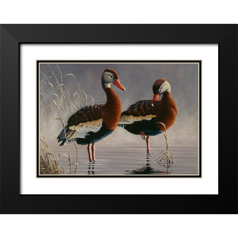 1989 Black Bellied Whistling Duck Black Modern Wood Framed Art Print with Double Matting by Goebel, Wilhelm